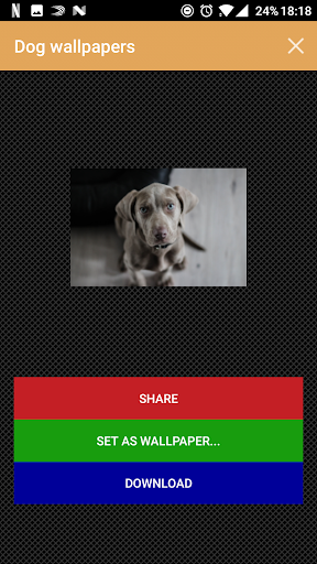 Dog wallpapers and funny pics Screen 2