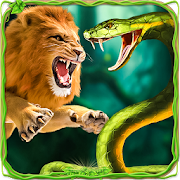 Furious Lion Vs Angry Anaconda Snake