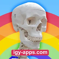 AR Augmented reality Anatomy