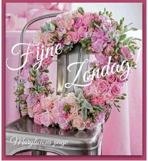 Goedemorgen Goedendag Middag