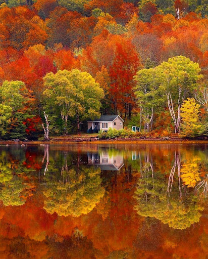 Android application Puzzles & Jigsaws Pro screenshort