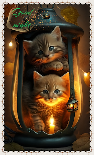 Good night rose flower