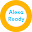 Companion for Alexa Gear/Watch APK icon