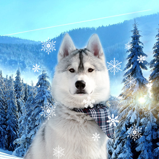 Cute Winter Wallpaper – Apps no Google Play
