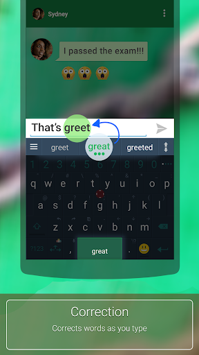 ai.type Dutch Dictionary Screen 3