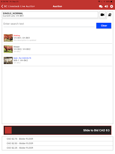 BC Livestock Live Auction