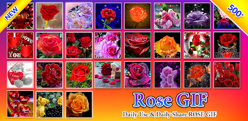 Rose GIFs Love & Flowers