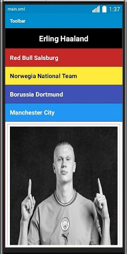 Erling Haaland Collection Screen 3