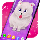 Cute Puppy Live Wallpaper 🐶 Pomeranian Wallpapers icon