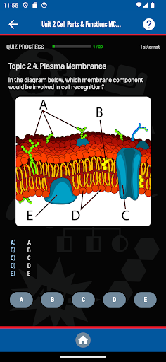 Biomania: AP Biology Study App Screen 3