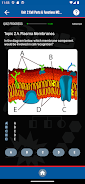 →