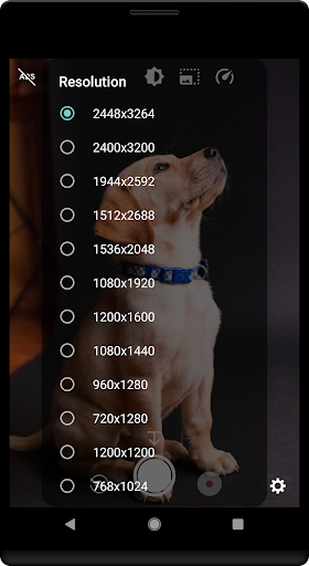 Time warp scan - Blue line fil
