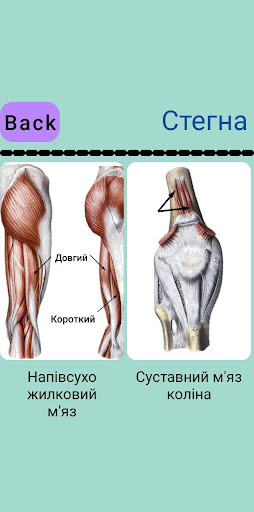 Анатомія Тест Screen 3