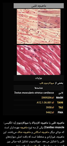 Logo https://play-lh.googleusercontent.com/soqKwntf4xWypDPIEWkrPO5gyS3GwFV9KMu4h4Wmv-2BKSpFgOCkWek-wuIRetAfAw