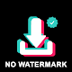 Video Downloader for TikTok - No Watermark विंडोज़ पर डाउनलोड करें