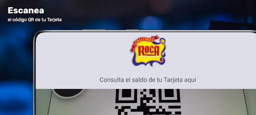 Fun Access Consulta de Saldo Screen 2