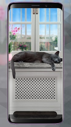 レイジーグレイキャットライブ壁紙 Cute Lazy Catのおすすめ画像1