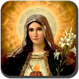 Virgin Mary Wallpaper HD icon