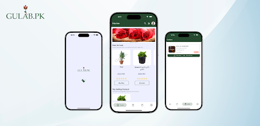 Gulab.pk