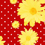 Flower Theme Cherry and Daisy