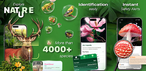 Nature ID - Plant Identifier