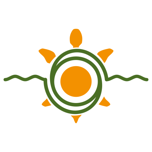 Wise Turtle logo