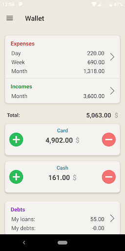 Android application Wallet - cost accounting screenshort