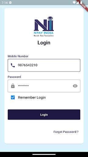 Npay India Screen 2