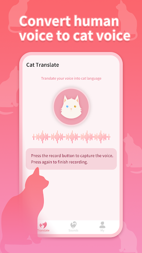 Cat Translator Screen 3