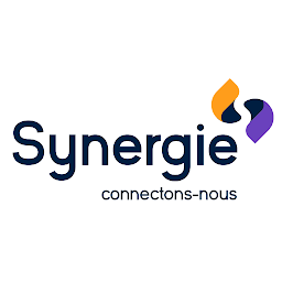 Icon image Synergie Business Club