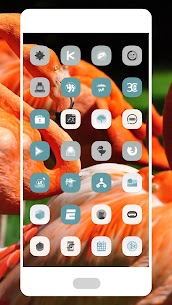 Flamingo Icon Pack Patched Apk 4