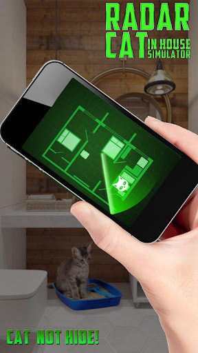हाउस सिम्युलेटर में रडार कैट