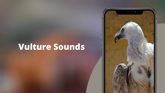 Vulture Sounds