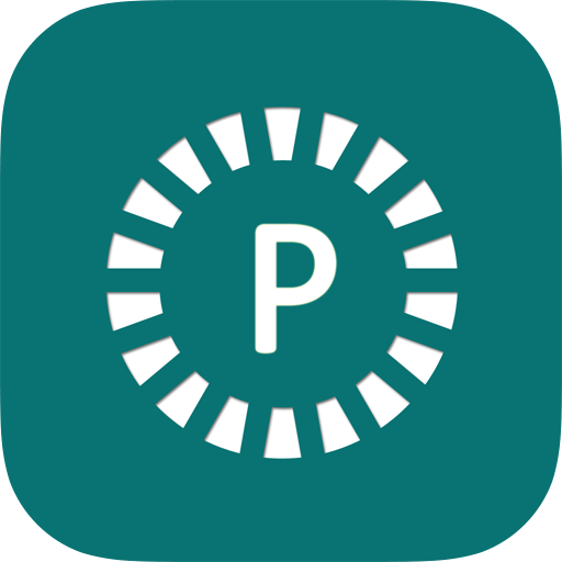 Publisher Expert: MS Publisher Logo