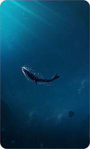 Whale Wallpaper HD