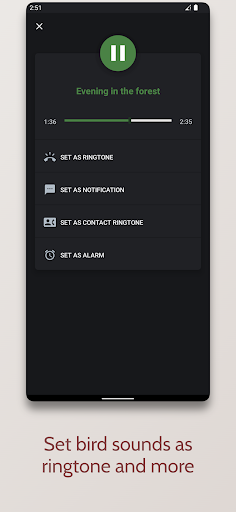 Bird sounds and ringtones Screen 2