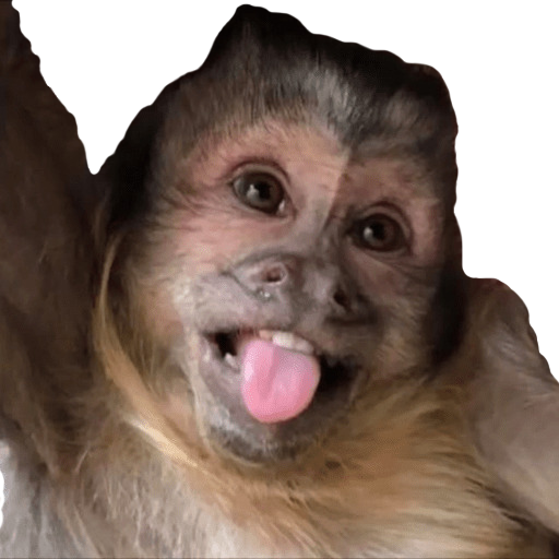 Monkey Stickers WAStickerApps Logo