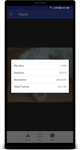 GIF Cracker - GIF to Video Screen 3