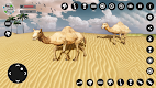 screenshot of Camel Family Life Simulator