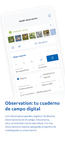 Vista previa de la aplicación