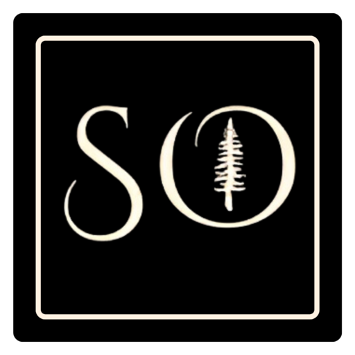 SO ARTIST logo
