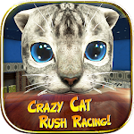Cover Image of Download Crazy Cat Rush Racing Run Kitt  APK