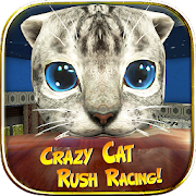 Crazy Cat Rush Racing Run Kitty Craft