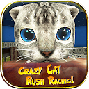 Descargar Crazy Cat Rush Racing Run Kitt Instalar Más reciente APK descargador