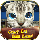 Crazy Cat Rush Racing 1.0.6