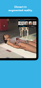 Human Anatomy Atlas 2023 Mod (All Content Unlocked) IPA For iOS Gallery 4