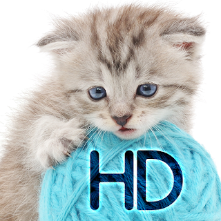 Cats wallpapers for phone apk