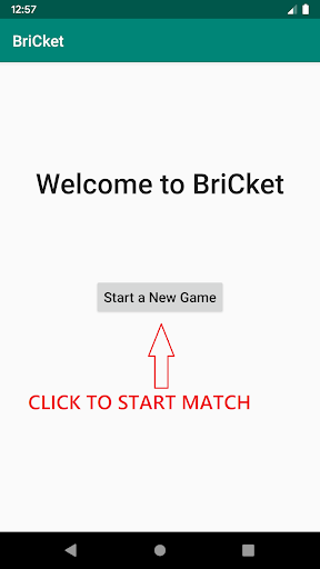 Android application BriCket - Simple & Easy Book C screenshort