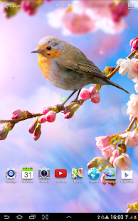 Flower Live Wallpaper Screenshot