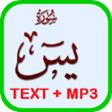 Surah Yasin MP3 + Text Offline icon